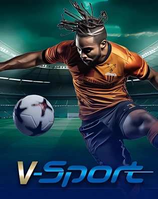 Vsport